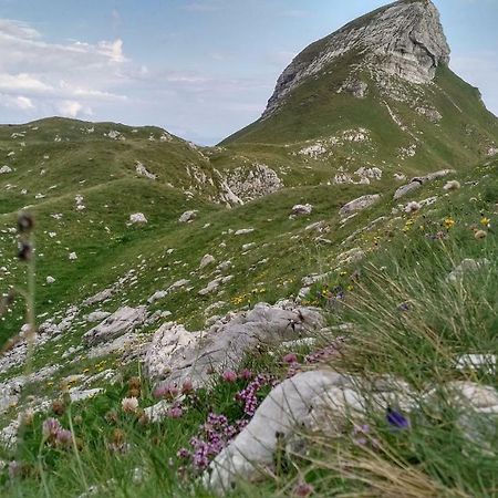 Apartments Durmitor Žabljak Eksteriør billede