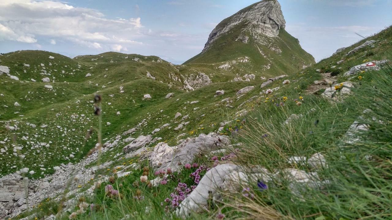 Apartments Durmitor Žabljak Eksteriør billede