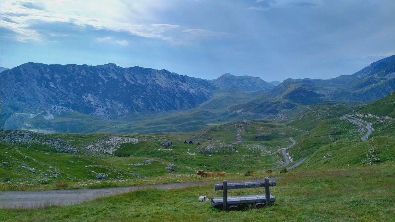 Apartments Durmitor Žabljak Eksteriør billede